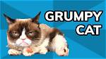 Why Grumpy Cat Is?