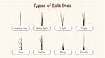 Why Hair Split Ends?