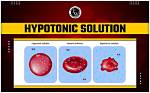Why Hypotonic Solution for Dehydration?