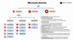 Why Ida Is Microcytic?
