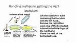 Why Inoculation Is Necessary?