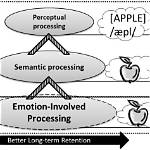 Why Involved in Image Processing?