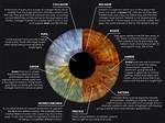 Why Iris Is Colored?