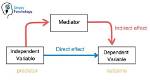 Why Is a Mediating Variable Important?