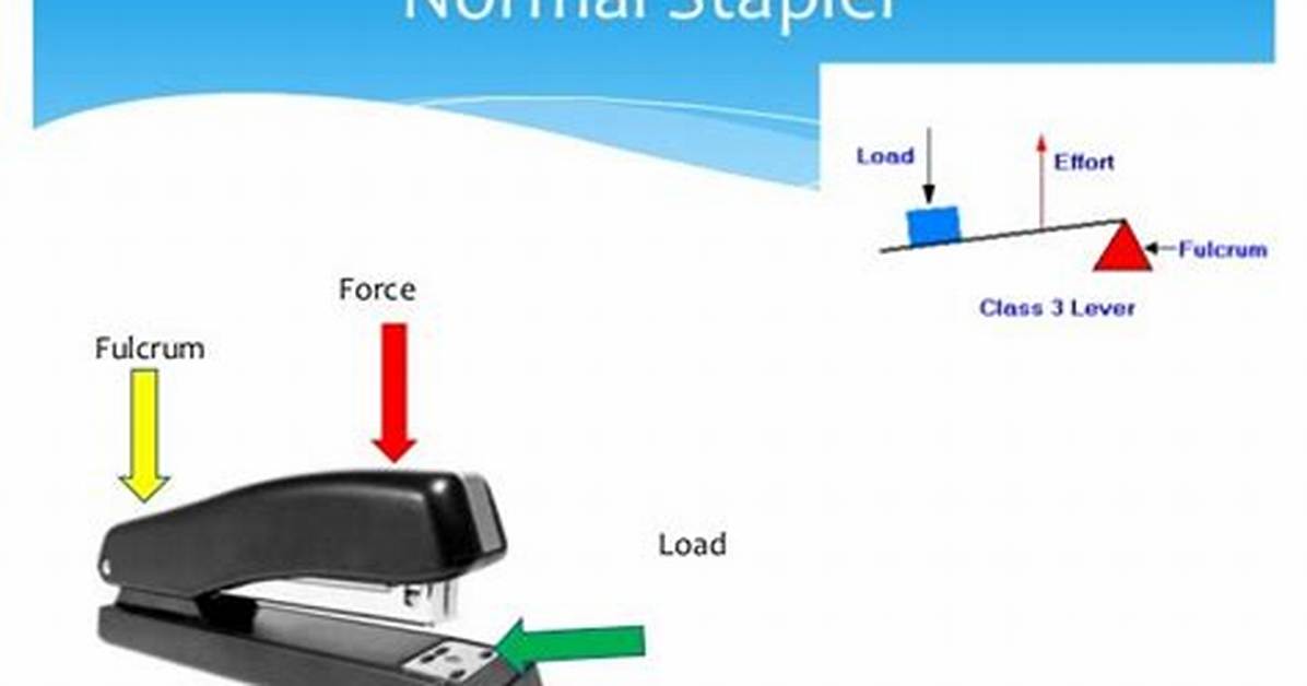 Why Is a Stapler a Second Class Lever?