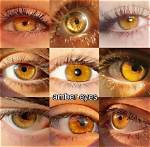 Why Is Amber Colored?