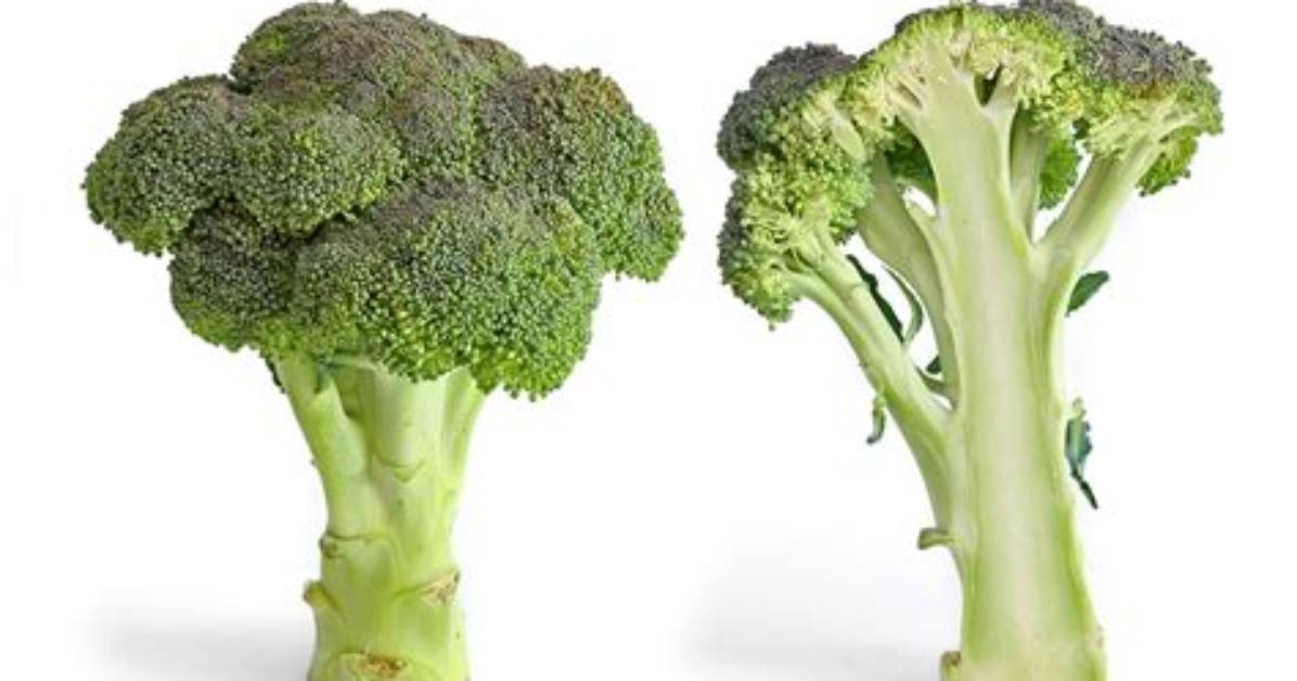 Why Is Broccoli Called?
