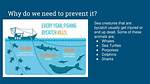 Why Is Bycatch a Problem