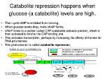 Why Is Catabolite Repression?