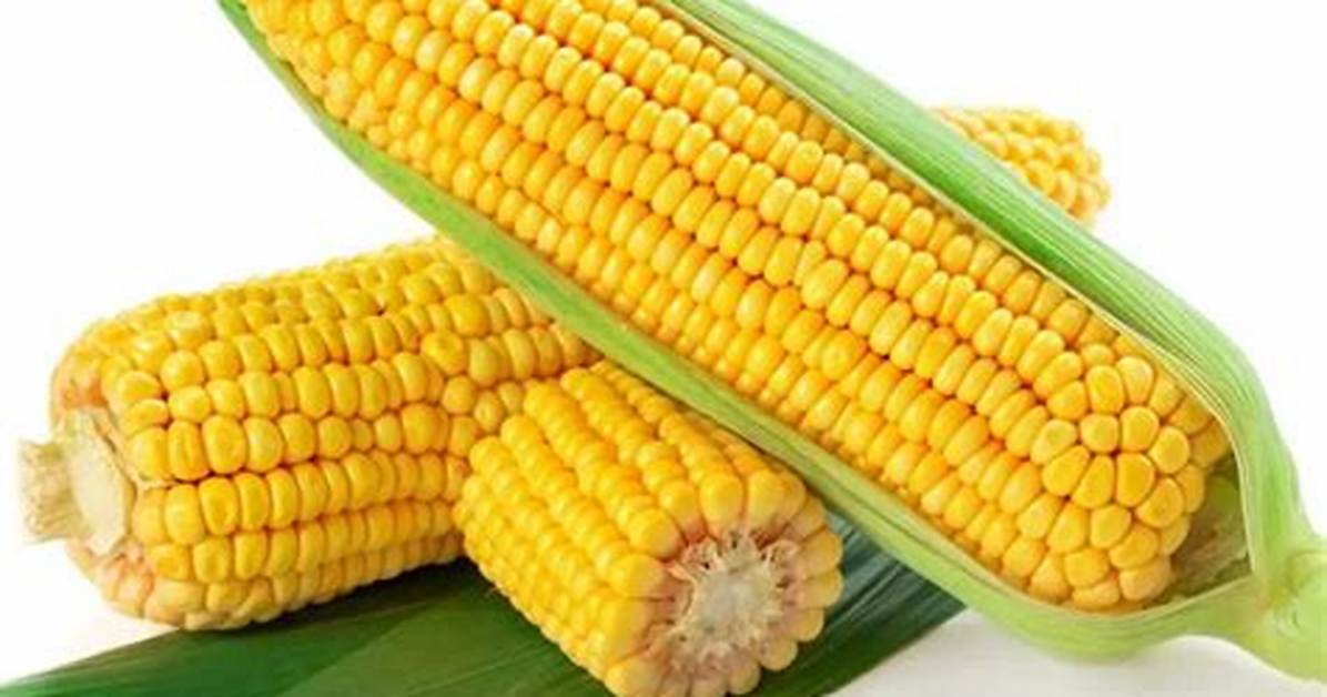 Why Is Corn a Vegetable?