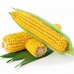 Why Is Corn a Vegetable?