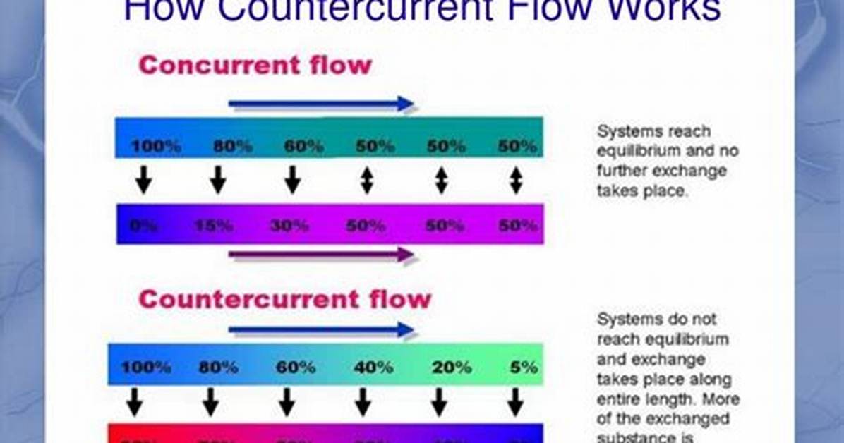 Why Is Countercurrent Flow Efficient?