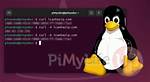 Why Is Curl Using the Wrong Ip Address to Resolve This Hostname?