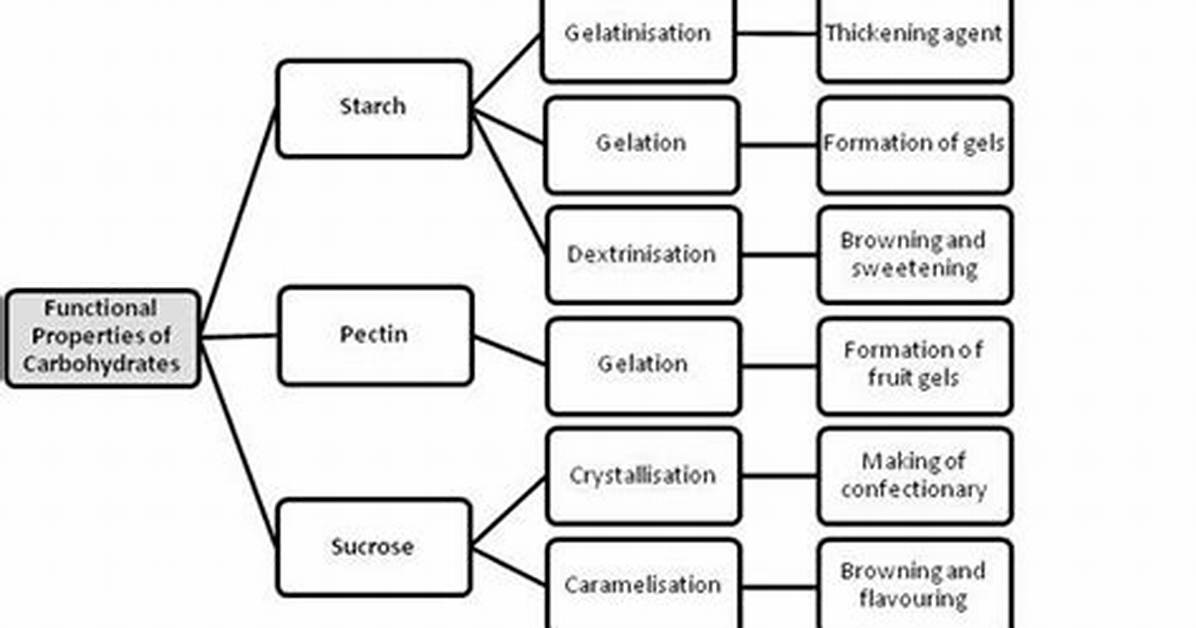 Why Is Dextrinization Important?