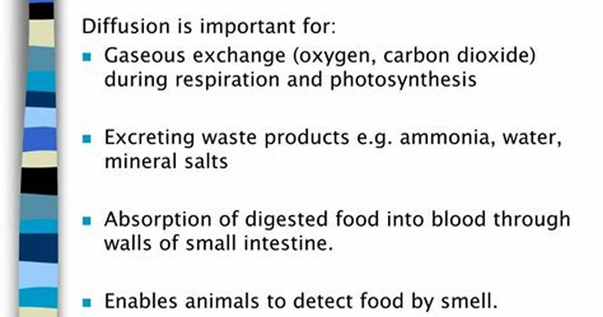 Why Is Diffusion Important?