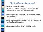 Why Is Diffusion Important?
