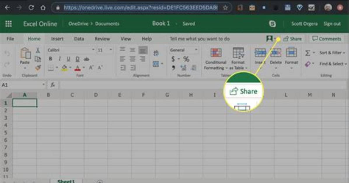 Why Is Excel File Shared?