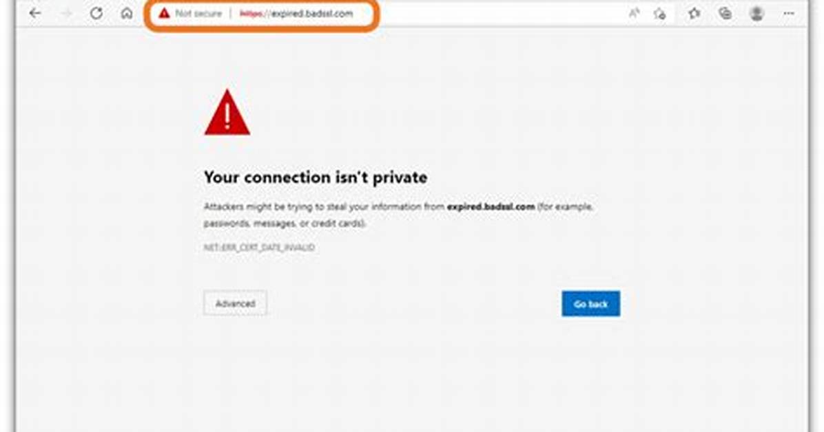 Why Is Https Crossed out in Red?