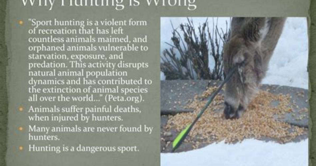Why Is Hunting Wrong