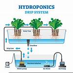 Why Is Hydroponic System?