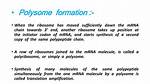 Why Is It Called a Polysome?