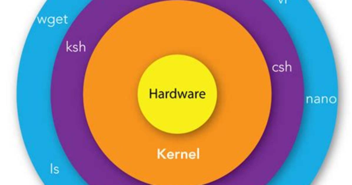 Why Is It Called a Shell Linux?