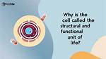 Why Is It Called a Unit