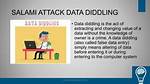 Why Is It Called Diddling?