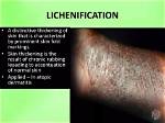 Why Is It Called Lichenification?