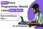 Why Is It Important for a Programmer to Know That Java Is a Case Sensitive Language?