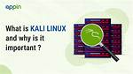 Why Is Kali Linux Good?