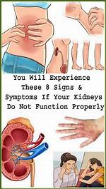 Why Is Kidney Not Functioning Properly?