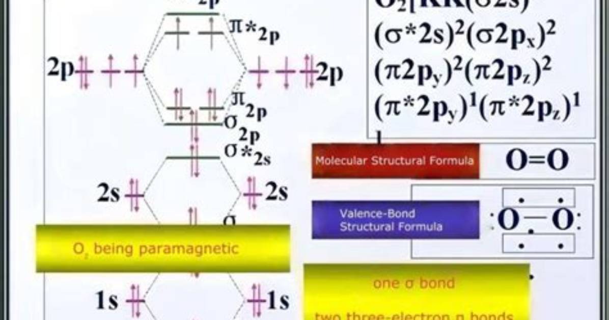 Why Is Ko2 Paramagnetic?