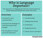 Why Is Language Important?