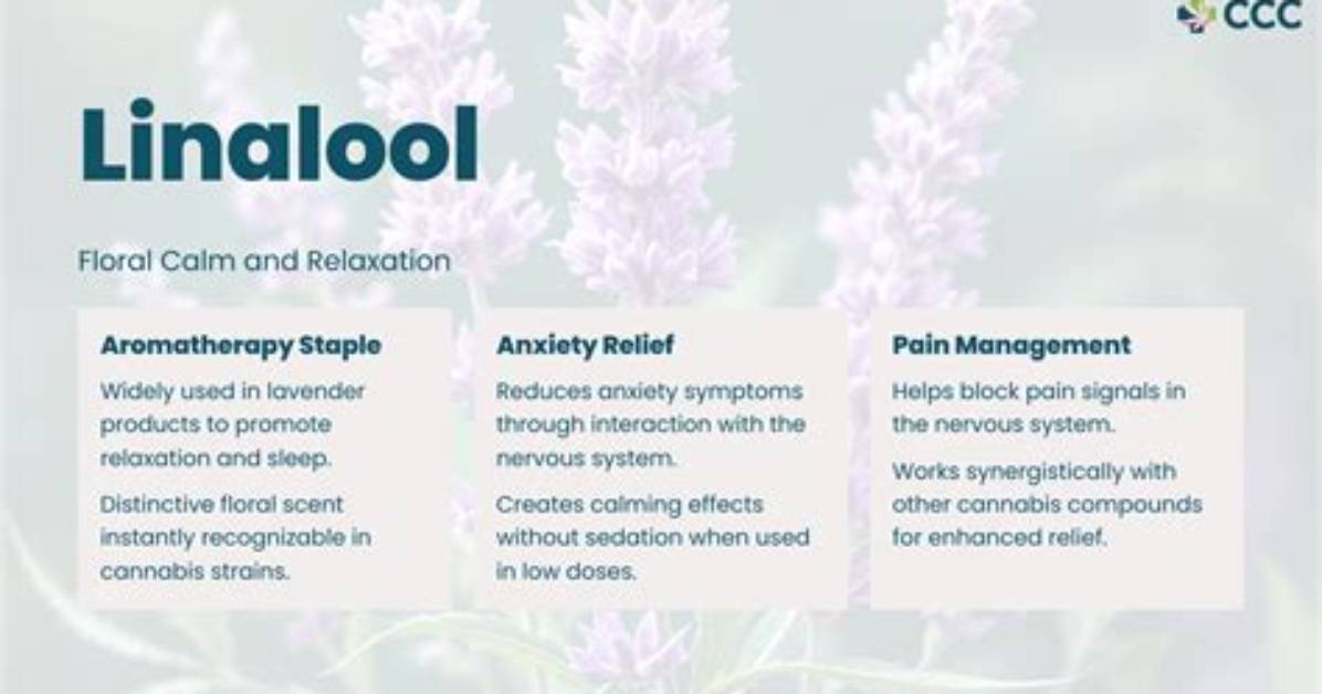 Why Is Linalool Bad