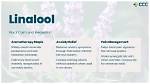 Why Is Linalool Bad