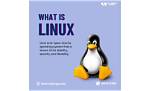 Why Is Linux So Good?