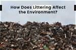 Why Is Littering a Problem?