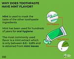 Why Is Mint Used for Toothpaste
