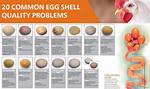 Why Is My Egg Shell Rough