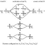 Why Is O2 Molecule Paramagnetic?