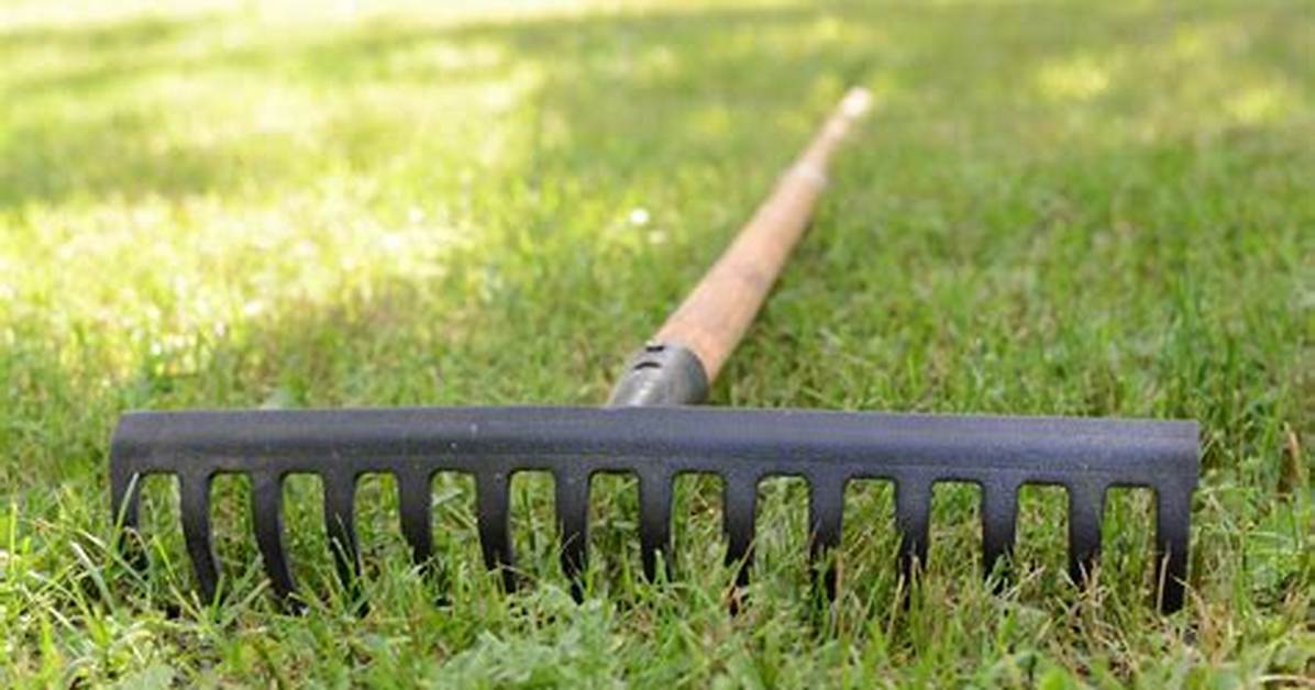 Why Is Rake Called Rake?