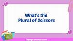 Why Is Scissors Plural?