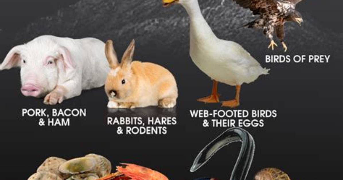 Why Is Shellfish Unclean?