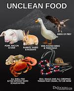 Why Is Shellfish Unclean?