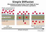 Why Is Simple Diffusion Not Saturable?