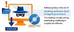 Why Is Software Theft?