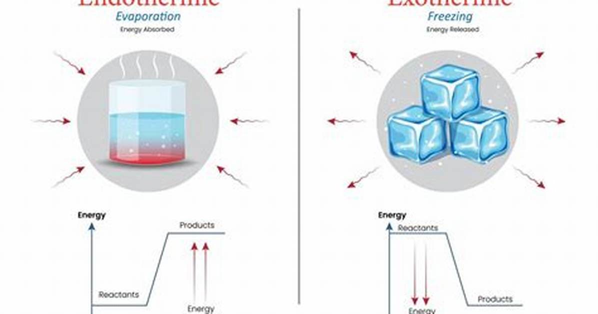 Why Is Solidification Exothermic?