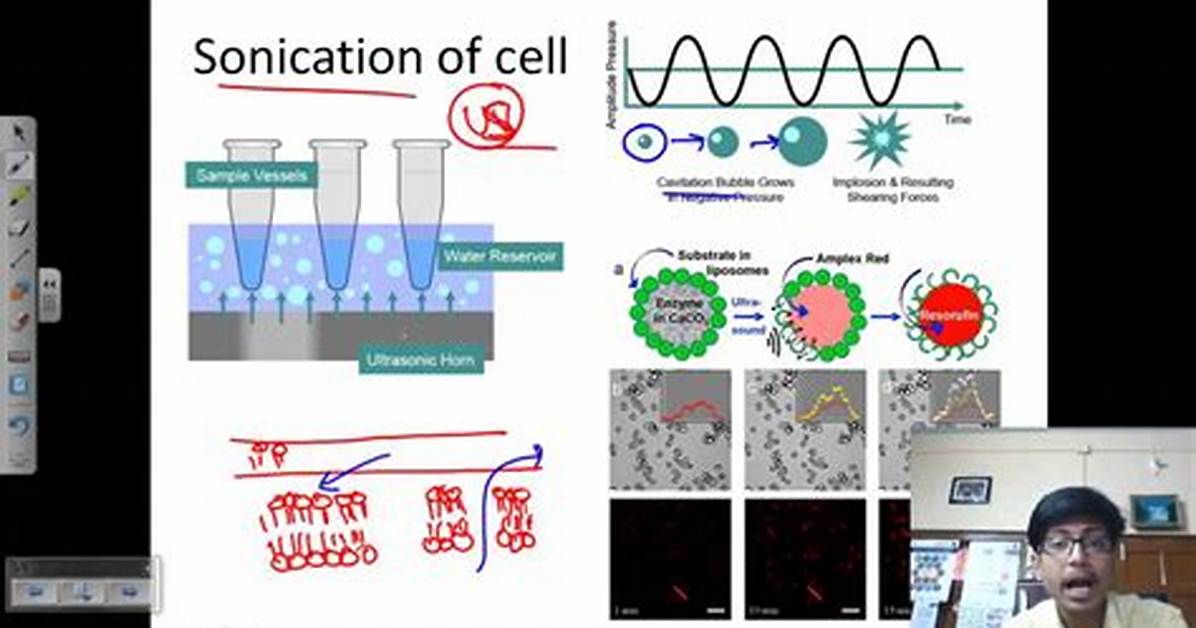 Why Is Sonication Used?