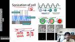 Why Is Sonication Used?